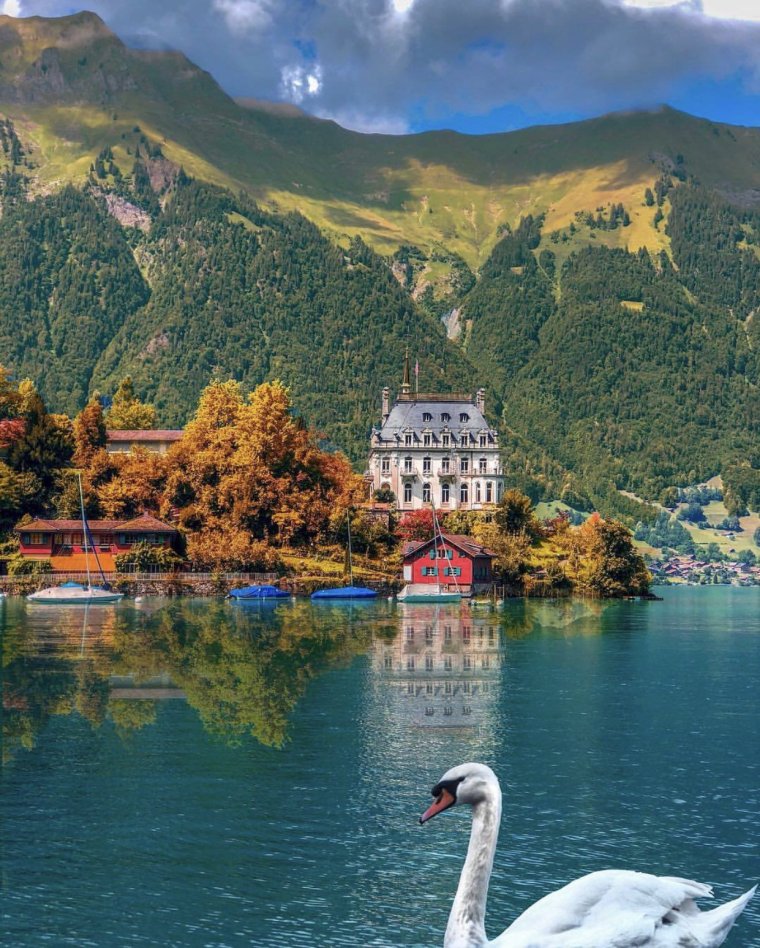 Озеро Бриенц в Берне (Швейцария) - 23 фото 4 Озеро Бриенц