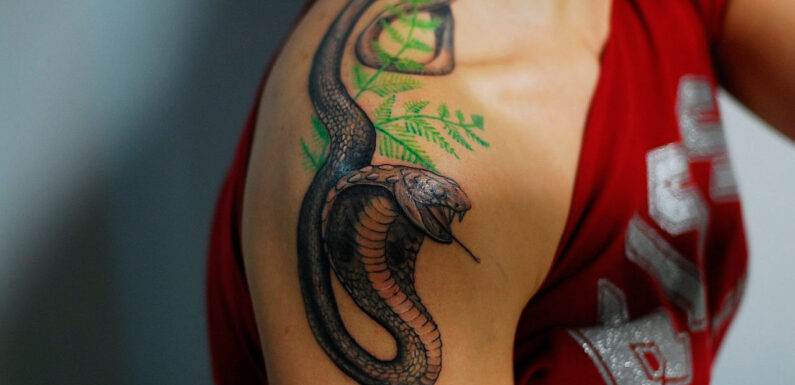 Что означает татуировка змеи: тату со смыслом или для красоты?