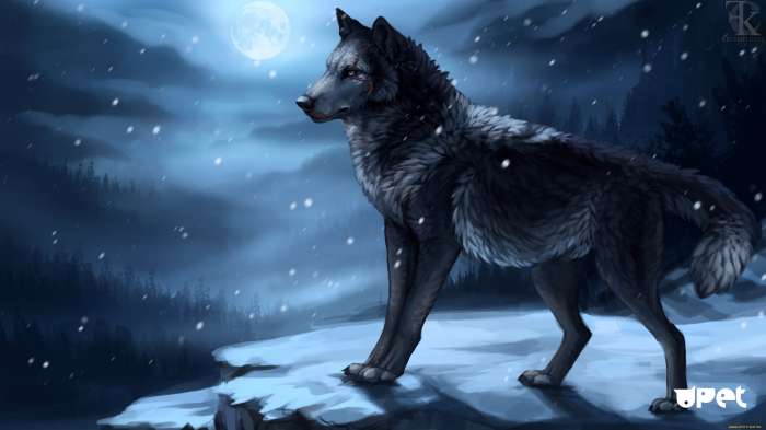 Картинки Волк (57 рисунков) 31