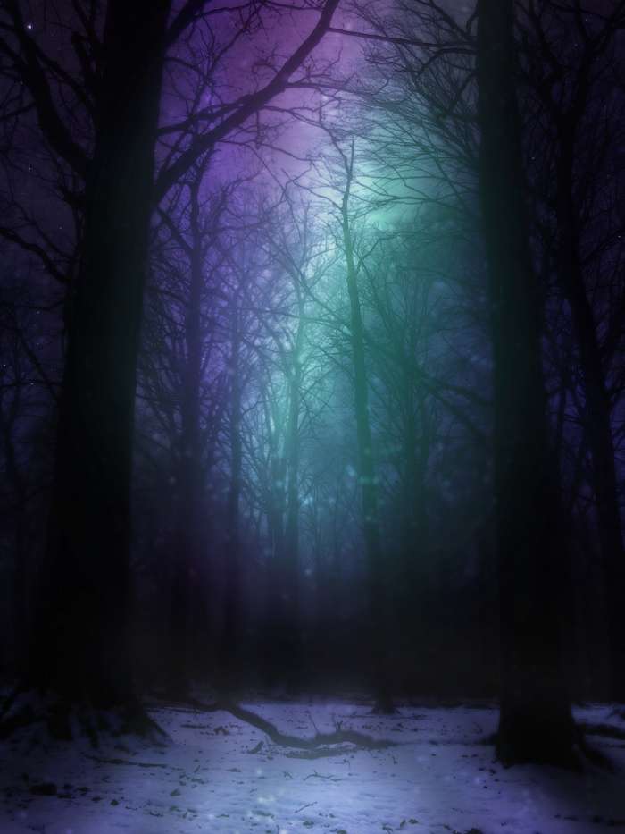 Арты: Ночной лес (45 фото) 15
