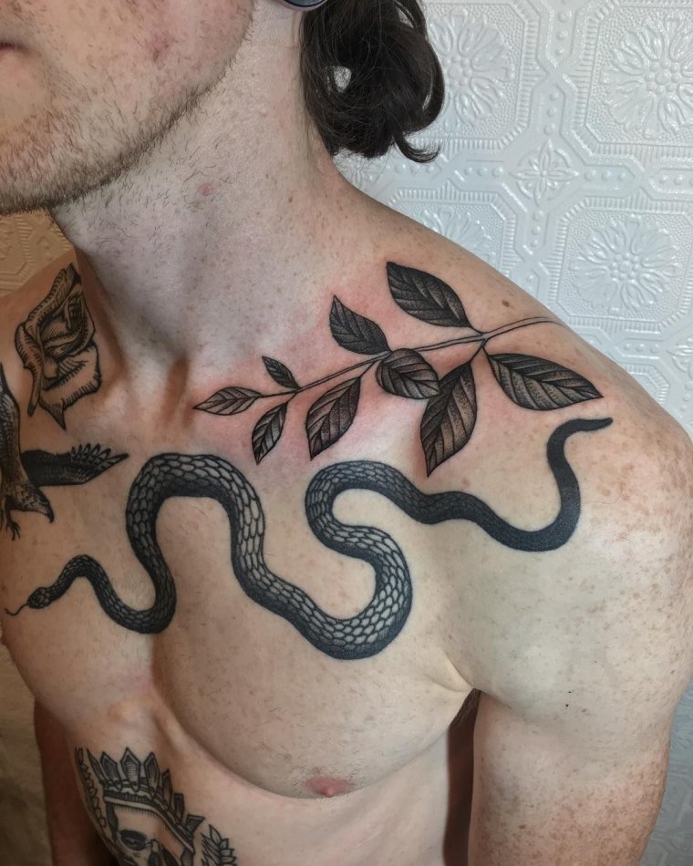 Тату змеи на груди мужские