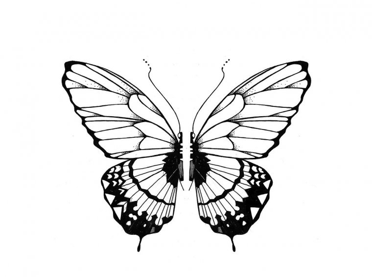 Эскизы бабочек для тату (39 фото) 30 Эскизы бабочек для тату (39 фото) 29 тату