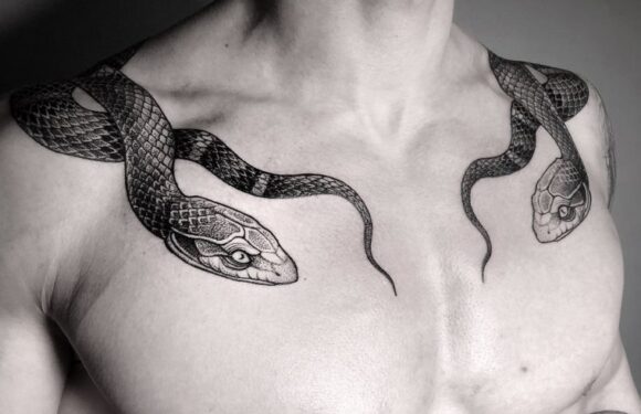 Тату «Змея» — мужские татуировки со змеями (49 фото)