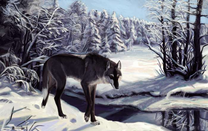 Картинки Волк (57 рисунков) 30