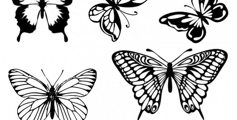 Эскизы бабочек для тату (39 фото)