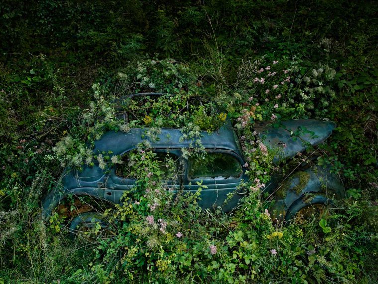 Заброшенные авто джунгли