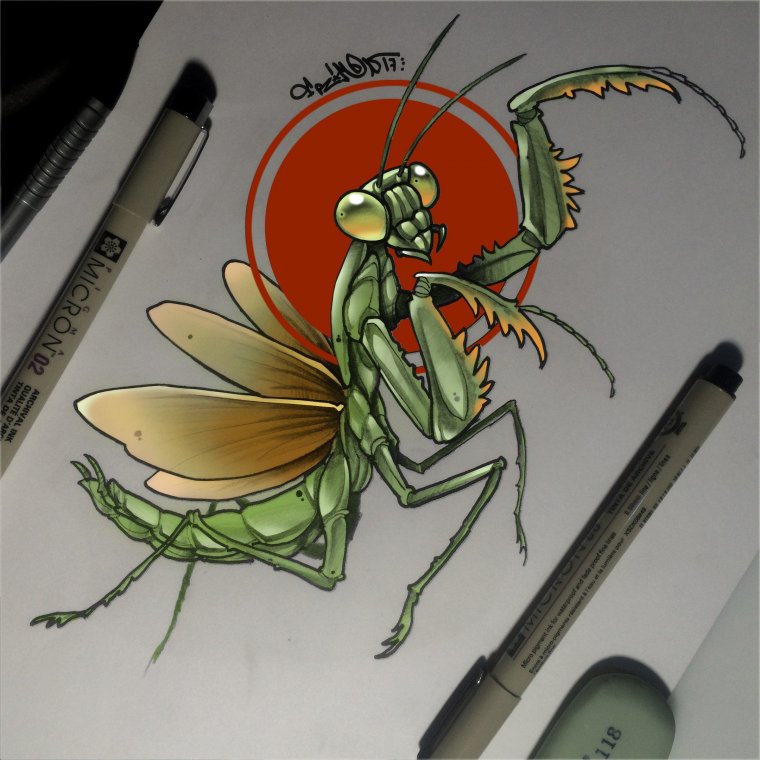 Mantis Tattoo эскиз