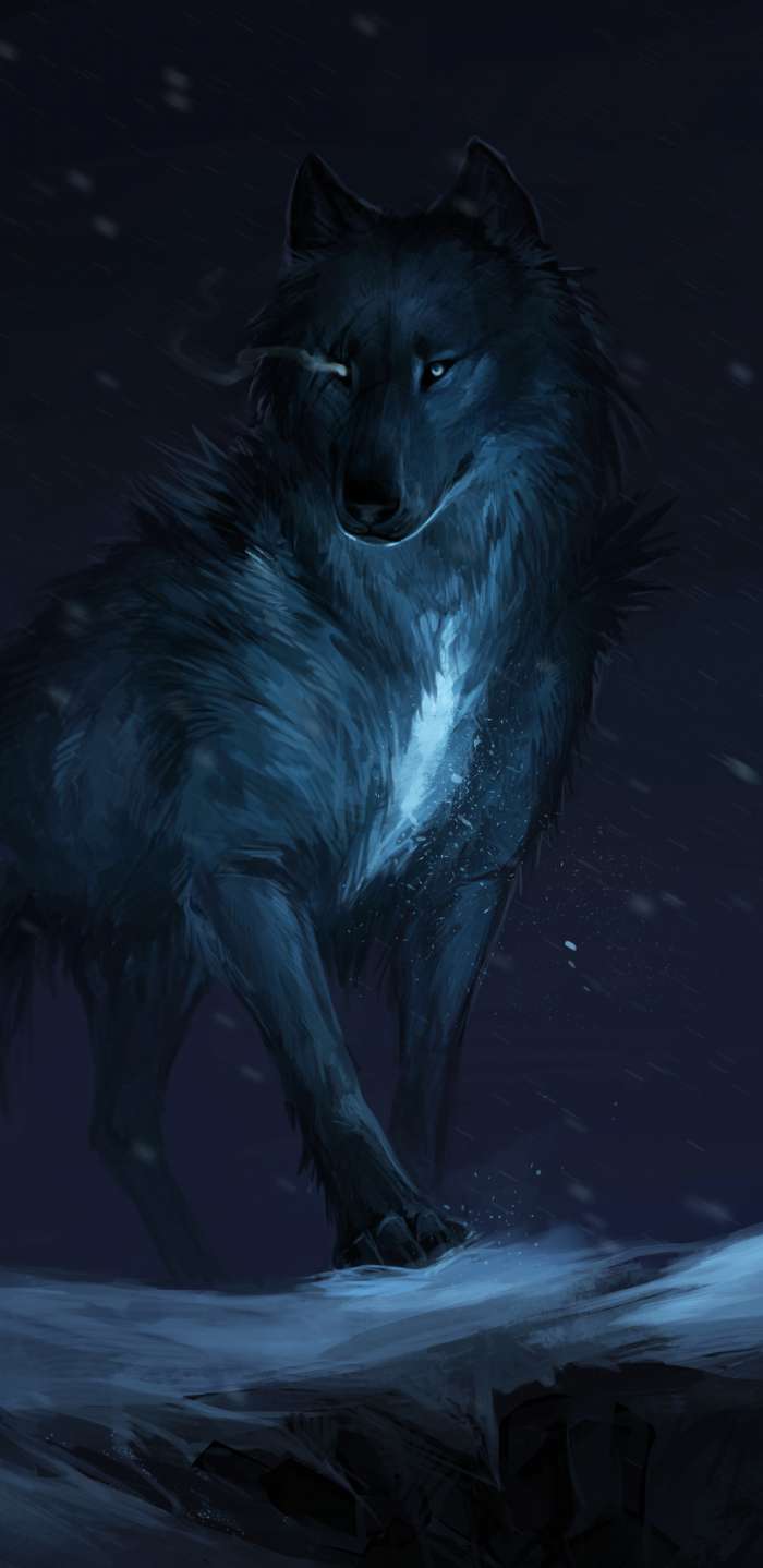 Арты: Черный волк (51 фото) 28