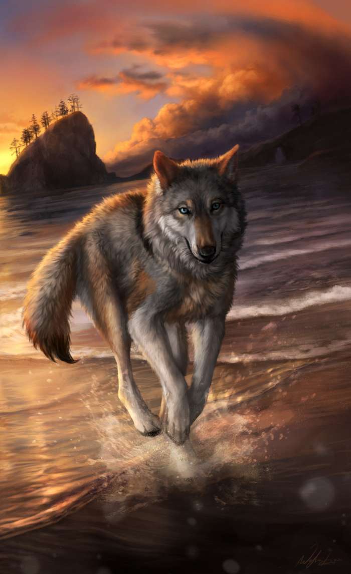 Картинки Волк (57 рисунков) 55