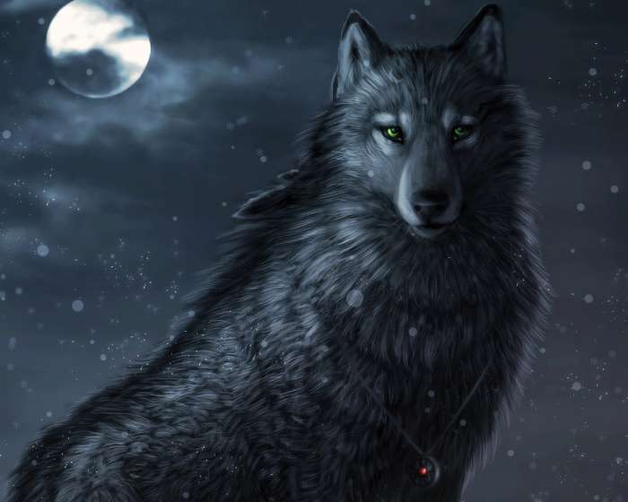 Арты: Черный волк (51 фото) 44