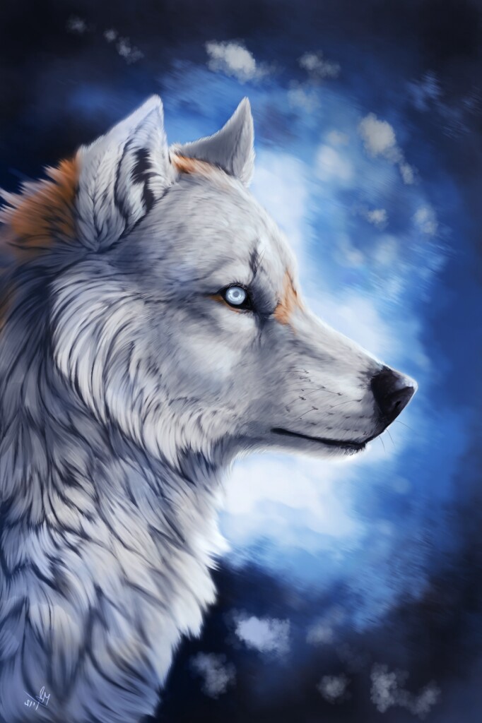 Картинки Волк (57 рисунков) 19