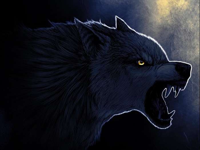 Арты: Черный волк (51 фото) 18