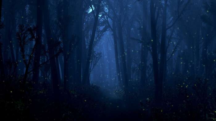 Арты: Светлячки в лесу (64 фото) 52