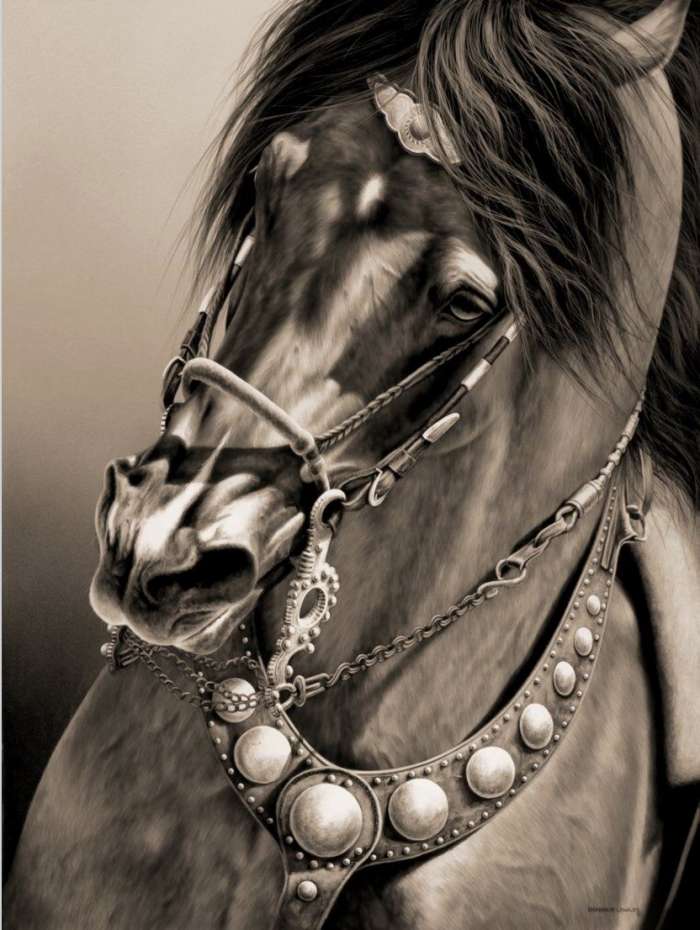 Лошадь: красивые арты и картинки (52 фото) 17