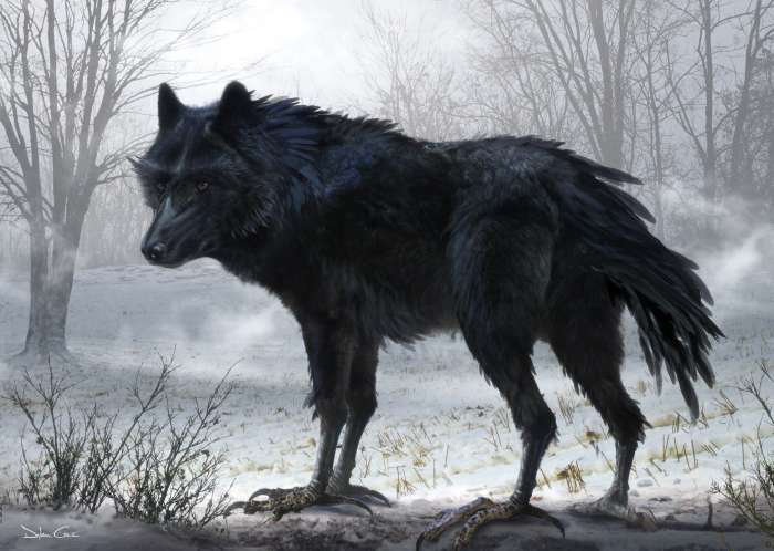 Арты: Черный волк (51 фото) 21