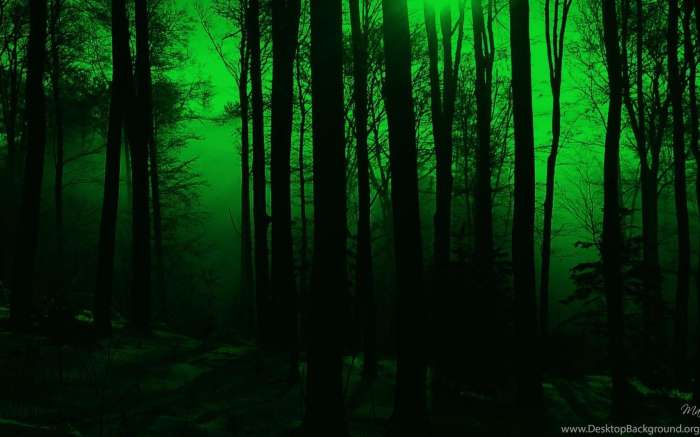 Арты: Светлячки в лесу (64 фото) 42