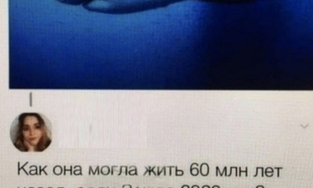 Забавные комментарии из соцсетей