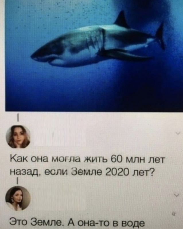 Забавные комментарии из соцсетей 47