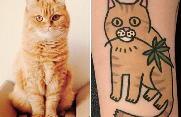 Тату рыжий кот — цветные татуировки (38 фото)