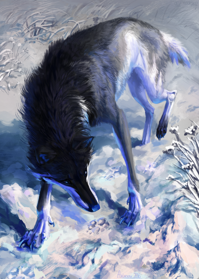 Картинки Волк (57 рисунков) 44