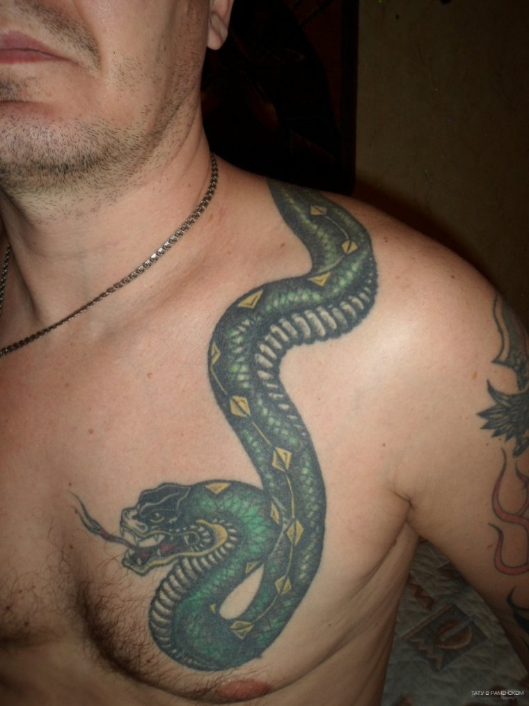 Тату змея на груди