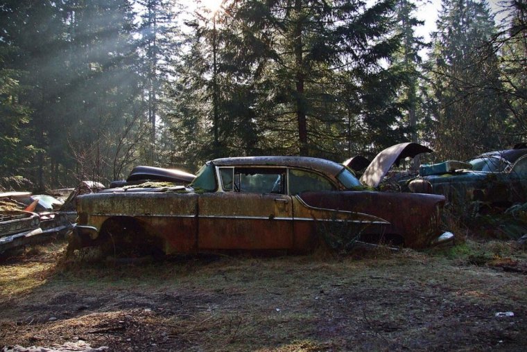 Старые брошенные автомобили