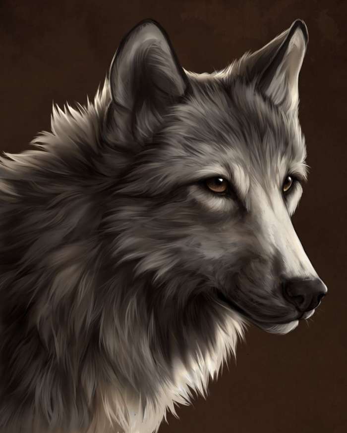 Картинки Волк (57 рисунков) 40