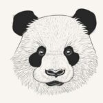 Панда (55 картинок и рисунков) 32