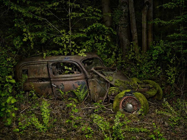 Старые машины в лесу