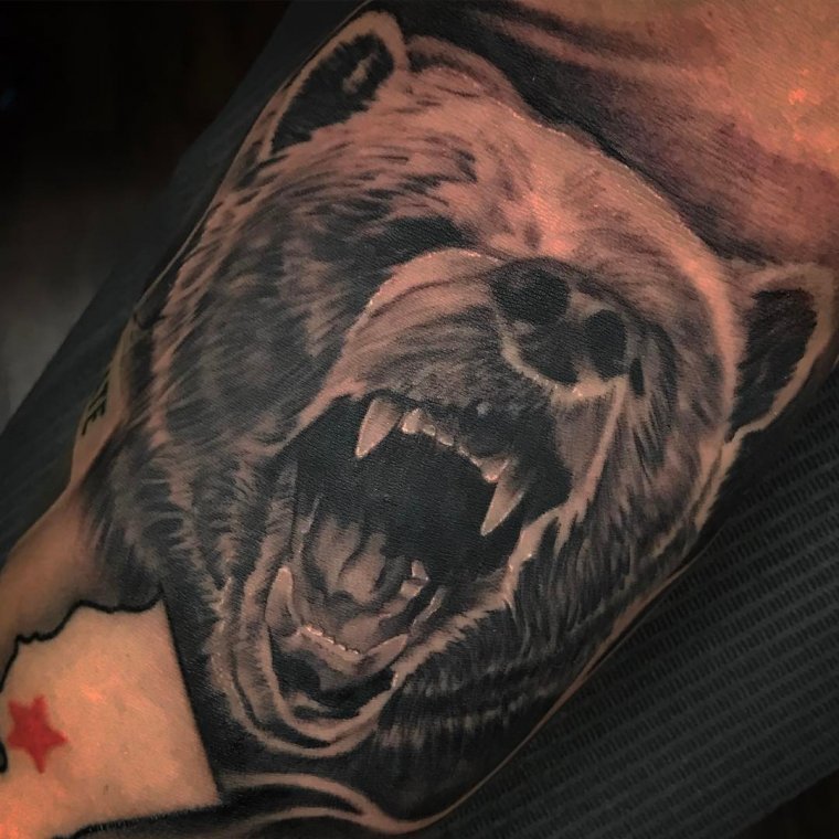 Тату "медведь" - злой медведь для татуирвоки (39 фото) 11 тату