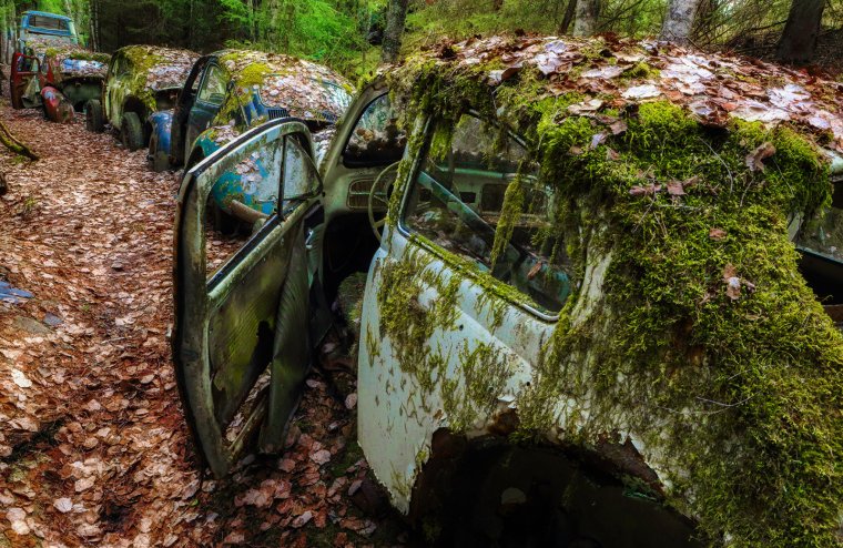 Заброшенные автомобили в лесу