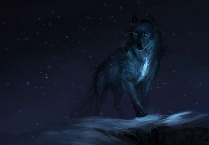 Арты: Черный волк (51 фото) 2