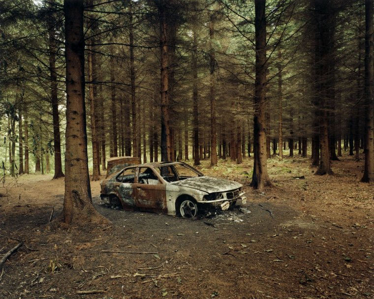 Следы машины в лесу