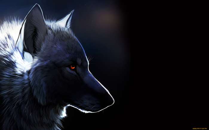 Арты: Черный волк (51 фото) 40