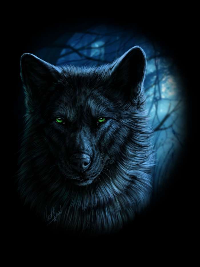 Арты: Черный волк (51 фото) 3