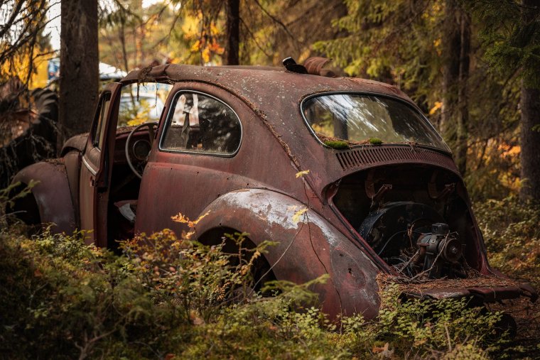 Старые автомобили в лесу