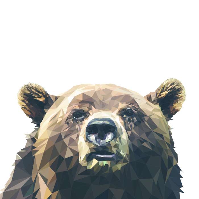 Арты: Медведь (54 фото) 11