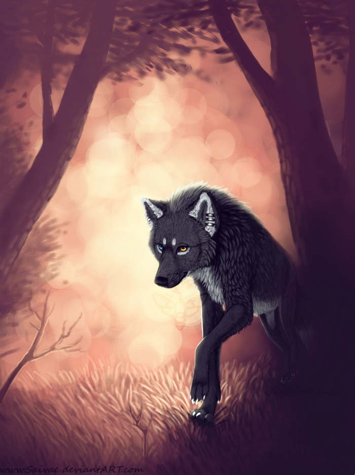 Арты: Черный волк (51 фото) 4