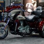 Потрясающие чопперы Harley-Davidson (49 фото) 35