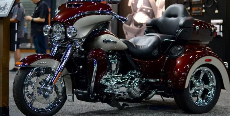 Потрясающие чопперы Harley-Davidson (49 фото)