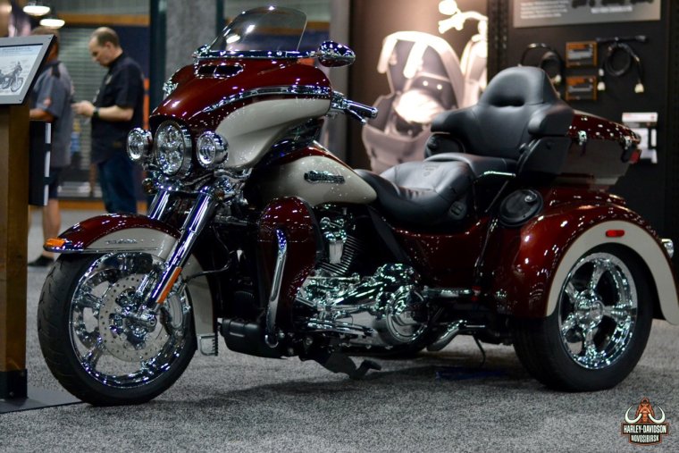 Потрясающие чопперы Harley-Davidson (49 фото)
