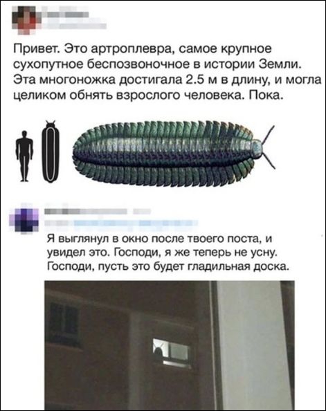 Забавные комментарии из соцсетей 64