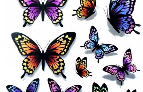 Цветные тату — бабочки — эскизы (45 фото)