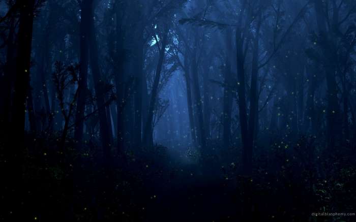 Арты: Ночной лес (45 фото) 32
