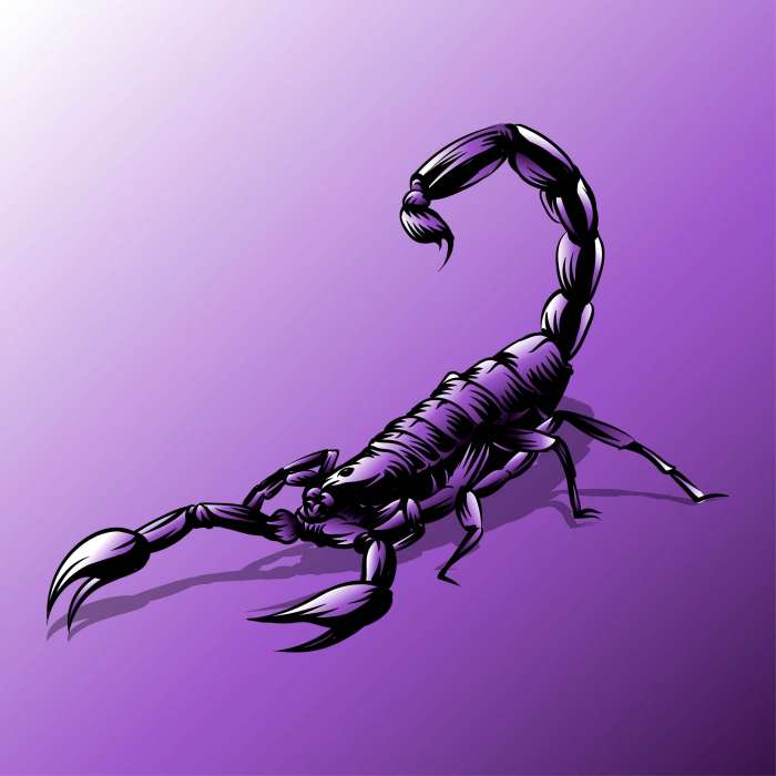 Скорпион - шикарные картинки на тему (50 фото) 18 скорпион