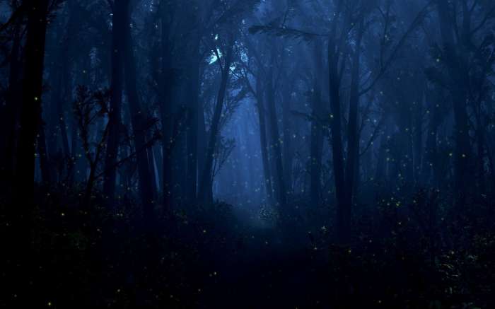 Арты: Ночной лес (45 фото) 12