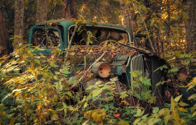 Старые автомобили брошенные в лесу