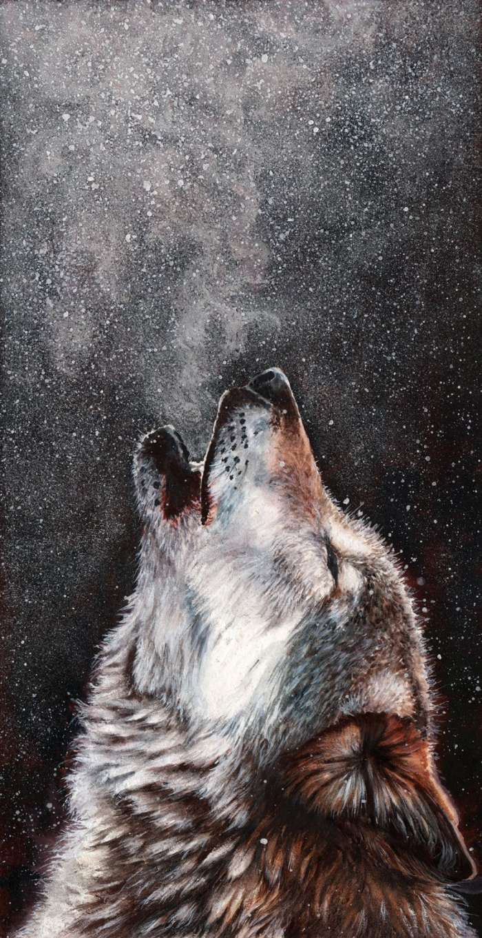 Картинки Волк (57 рисунков) 35