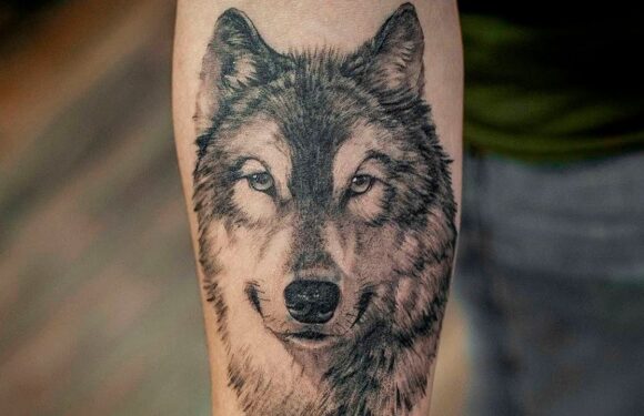 Что означает тату волка и в чем ее популярность