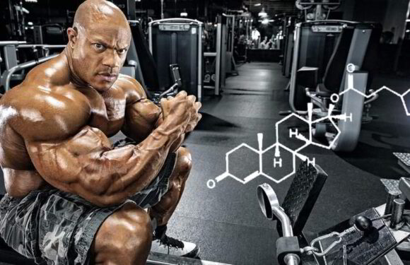 Как работает тестостерон ципионат